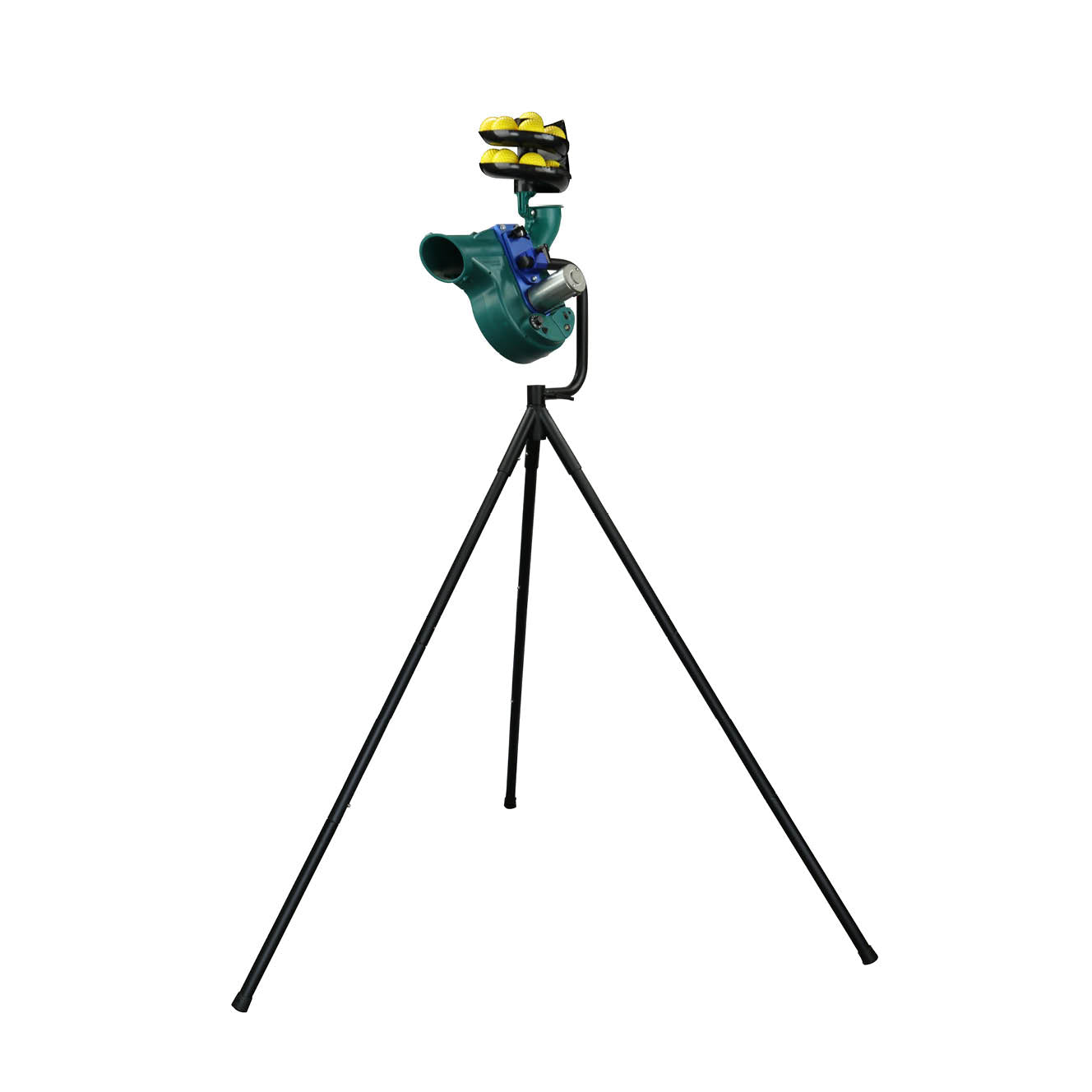 Dimension Sport Paceman 245 Edge 🆕