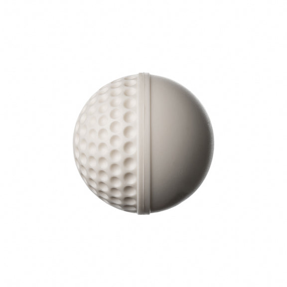 Swinga Balls (Swinga Cricket Technique Ball)