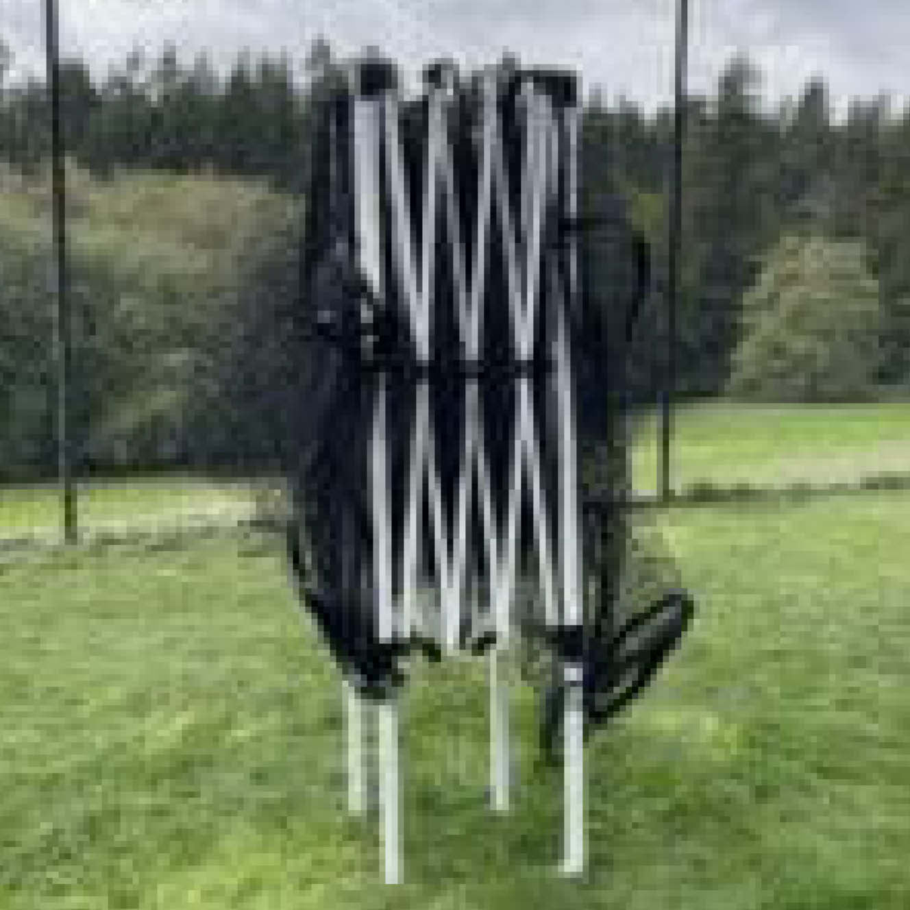 Dimension Sport AP6 Cricket Batting Net 🆕