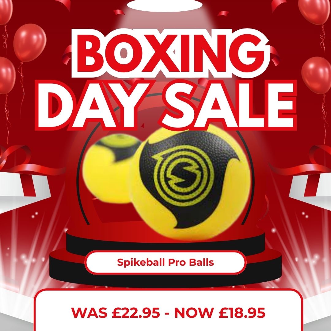 Spikeball Pro Balls (2 Pack)