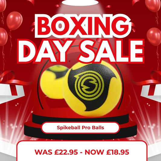 Spikeball Pro Balls (2 Pack)