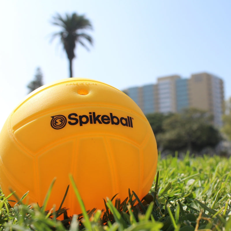 Spikeball Standard Balls (2 Pack)