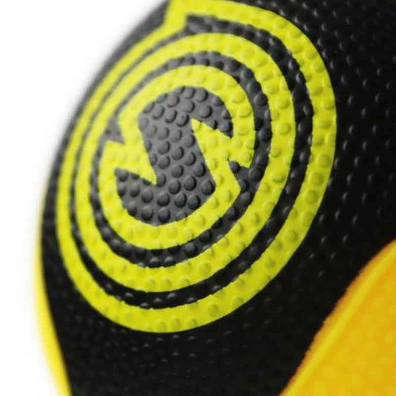 Spikeball Pro Balls (2 Pack)