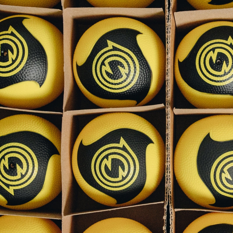 Spikeball Pro Balls (2 Pack)