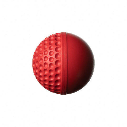Swinga Balls (Swinga Cricket Technique Ball)